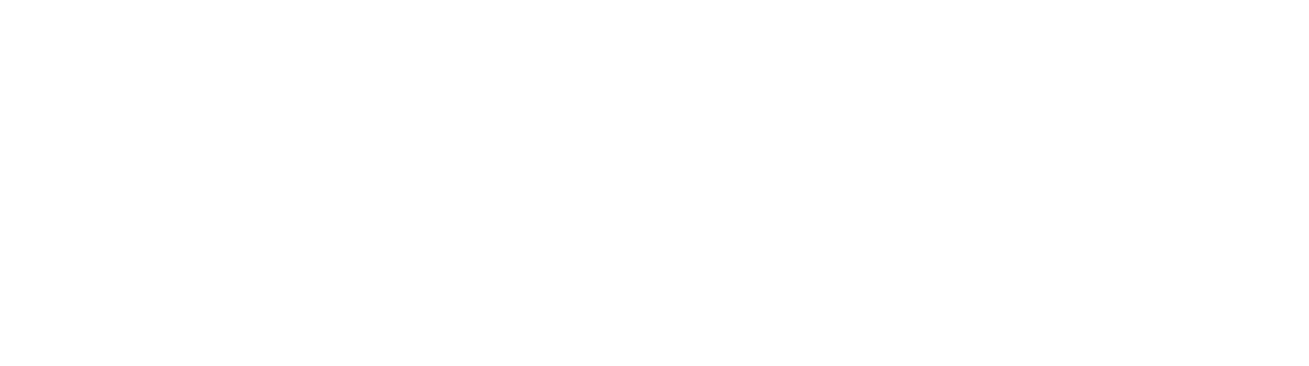 DeMonte Detailing and Tint logo